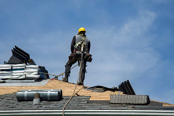 Professional Roofing technician working in Lima, IL